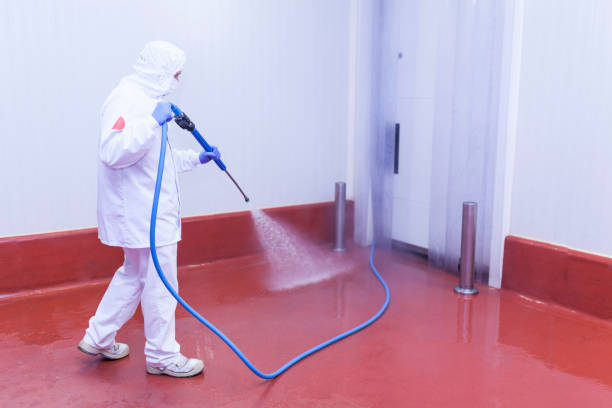 Best Pre-Holiday Cleaning  in Monroeville, OH